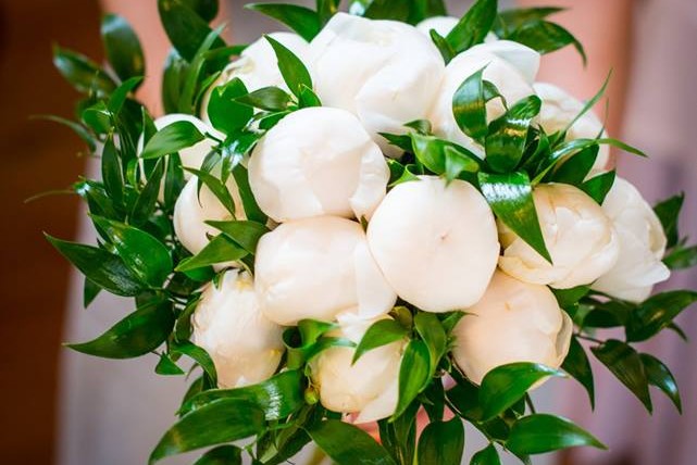 Piwonie w sierpniu? Czemu nie!